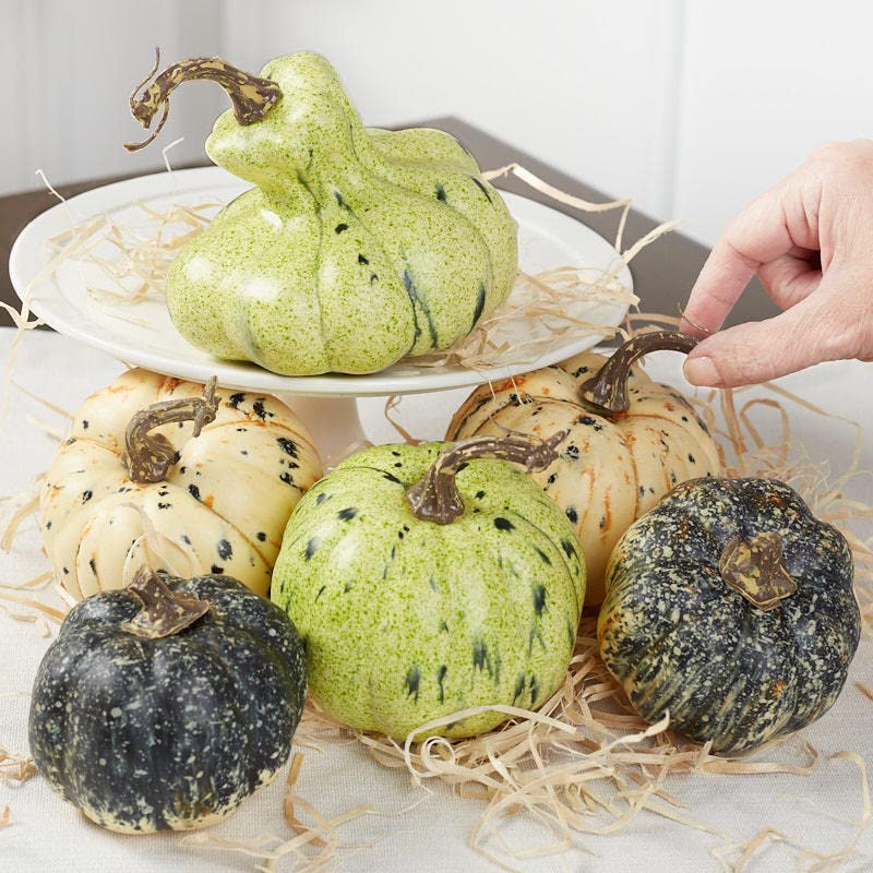 Factory Direct Craft Green and Cream Speckled Artificial Mixed Pumpkins and Gourds for Fall Decorating and Displays