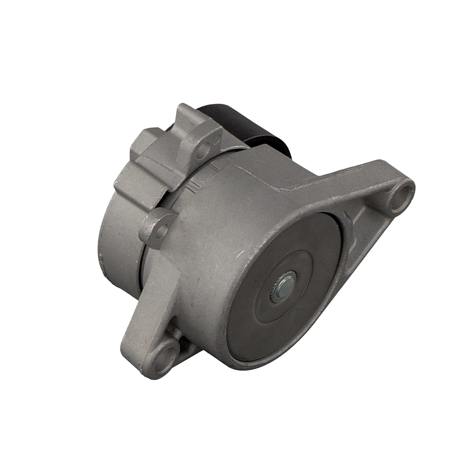 Febi bilstein 09810 Tendeur de courroie, courroie trapézoïdale à nervures | Compatible avec: BMW 3, 3, 3 Cabriolet, 3 Cabriolet, 3 Compact, 3 Compact, 3 Coupe, 3 Coupe, 3 Touring, 3 Touring, 5, 5, 5