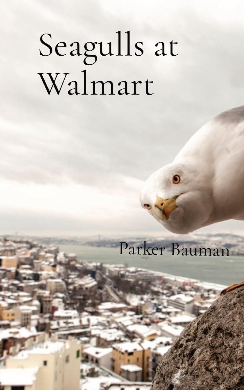 Seagulls at Walmart