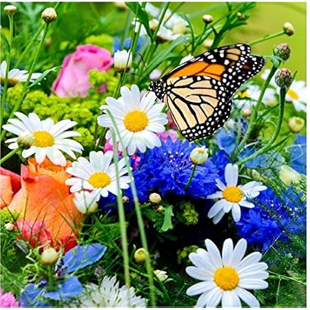 Sticker Boite Aux Lettres Fleur Papillon 30x30cm Sabl014 Amazon Fr Cuisine Maison