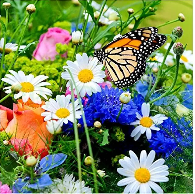 Sticker Boîte aux Lettres Fleur Papillon 30x30 cm - Autocollant Décoratif