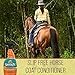 Absorbine Santa Fe Coat Conditioner & Sunscreen, Non-Slippery Formula, 32oz Spray
