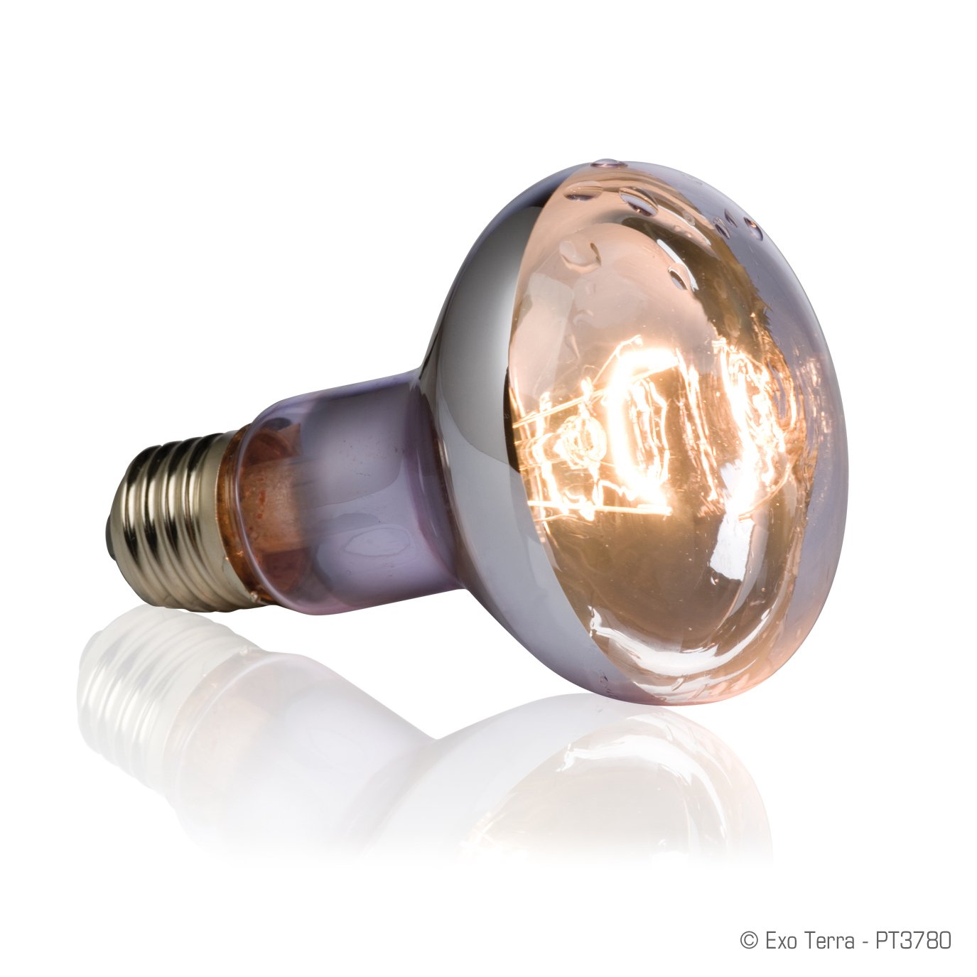 Amazon | 【セット買い】GEX EXOTERRA スワンプグロー 防滴ランプ 50W