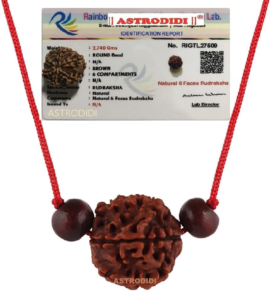Astrodidi 6 Mukhi Rudraksha | Certified Nepali Six Face Rudraksh with Two Red Chandan Beads in Red Thread with Lab Certificate (Colour: Brown, Shape: Round)
