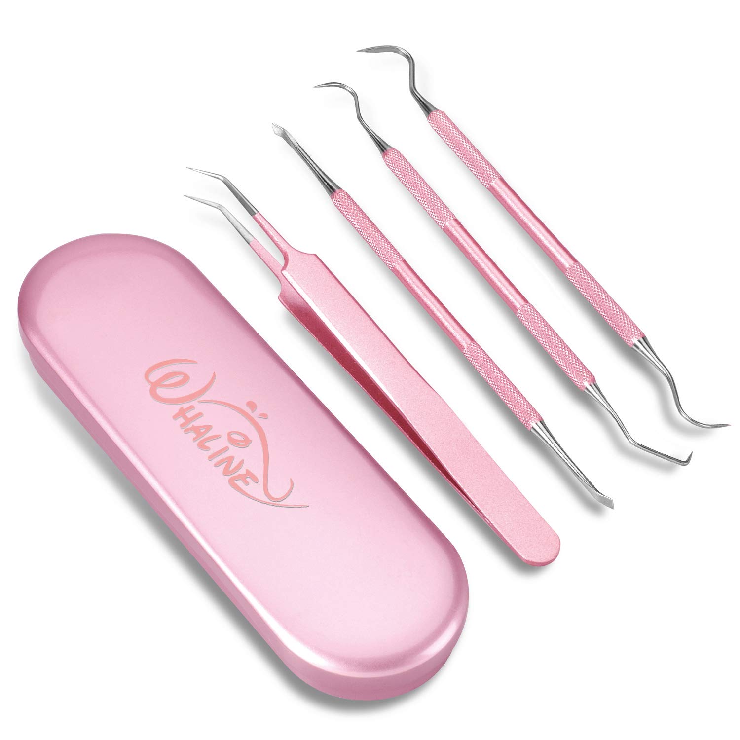 Whaline Weeding Vinyl Tools 4 Pieces Precision Stainless Steel Weeder Tool with Case, Vinyl Craft Paper Craft Tool Kit for Silhouettes Cameos, Lettering Scraper Hook Spatula Tweezers