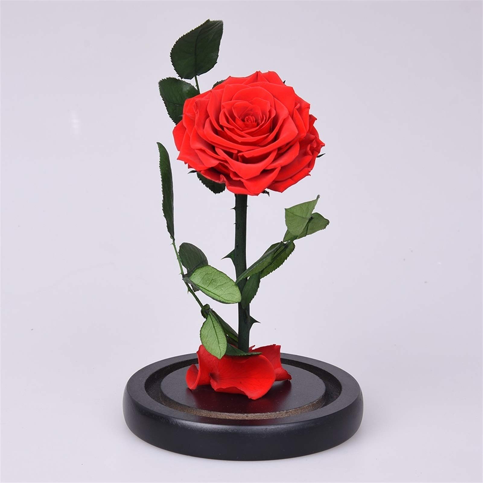 Beauty and the Beast roos - Belle en het Beast roos in glas - 22 cm