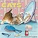 Gary Patterson's Cats Wall Calendar (2019)