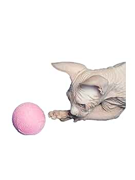 じゃれねこ『ローズ☆』 613-fr58YwL._UF350,350_QL50_.jpg