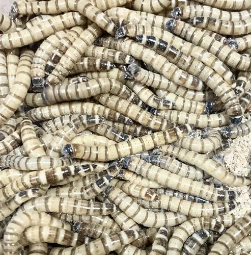 ジャイアントミルワーム 50g/100g/150g/200g/300g 生き餌 爬虫類 魚類 両生類 鳥類 生餌 (150g)