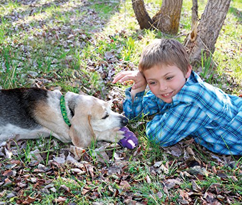 KONG Senior KONG Dog Toy, Medium, Purple