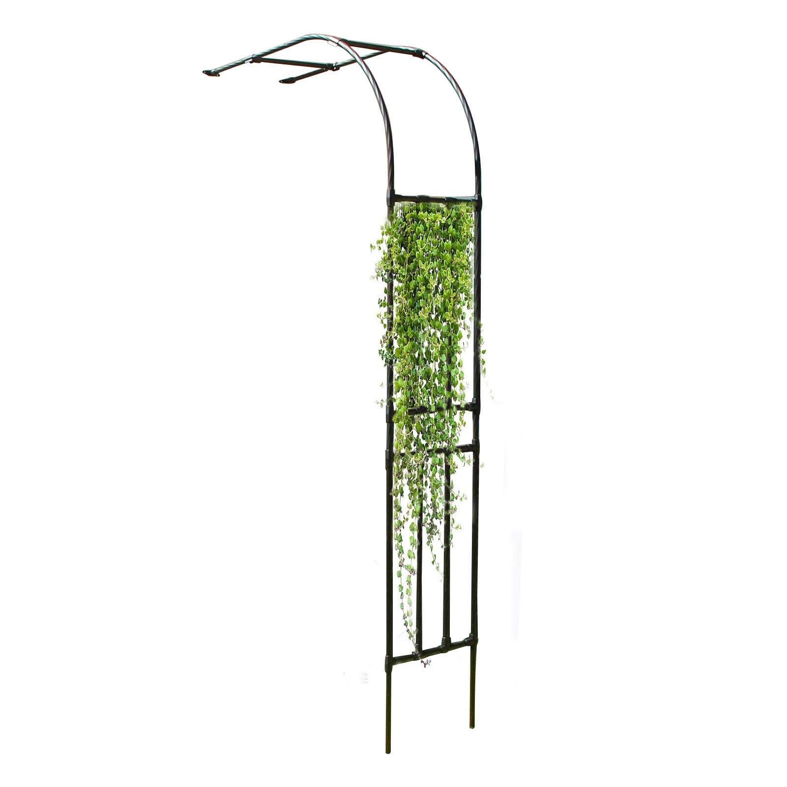 Arche de jardin en acier noir 60x240x40 cm pour rosiers et plantes