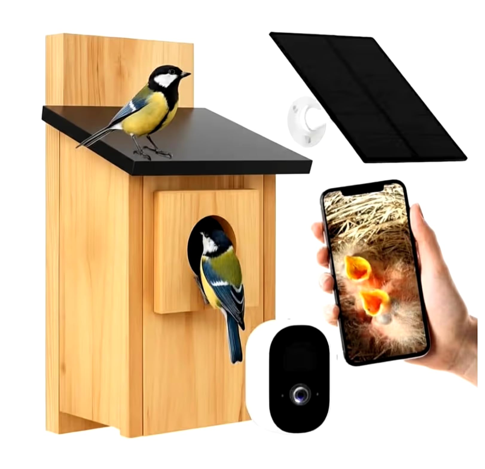 Smart Bird Box con fotocamera da 5 MP – Nido a energia solare per birdwatching dal vivo, rilevamento del movimento e acquisizione video, casetta per uccelli in legno resistente alle intemperie