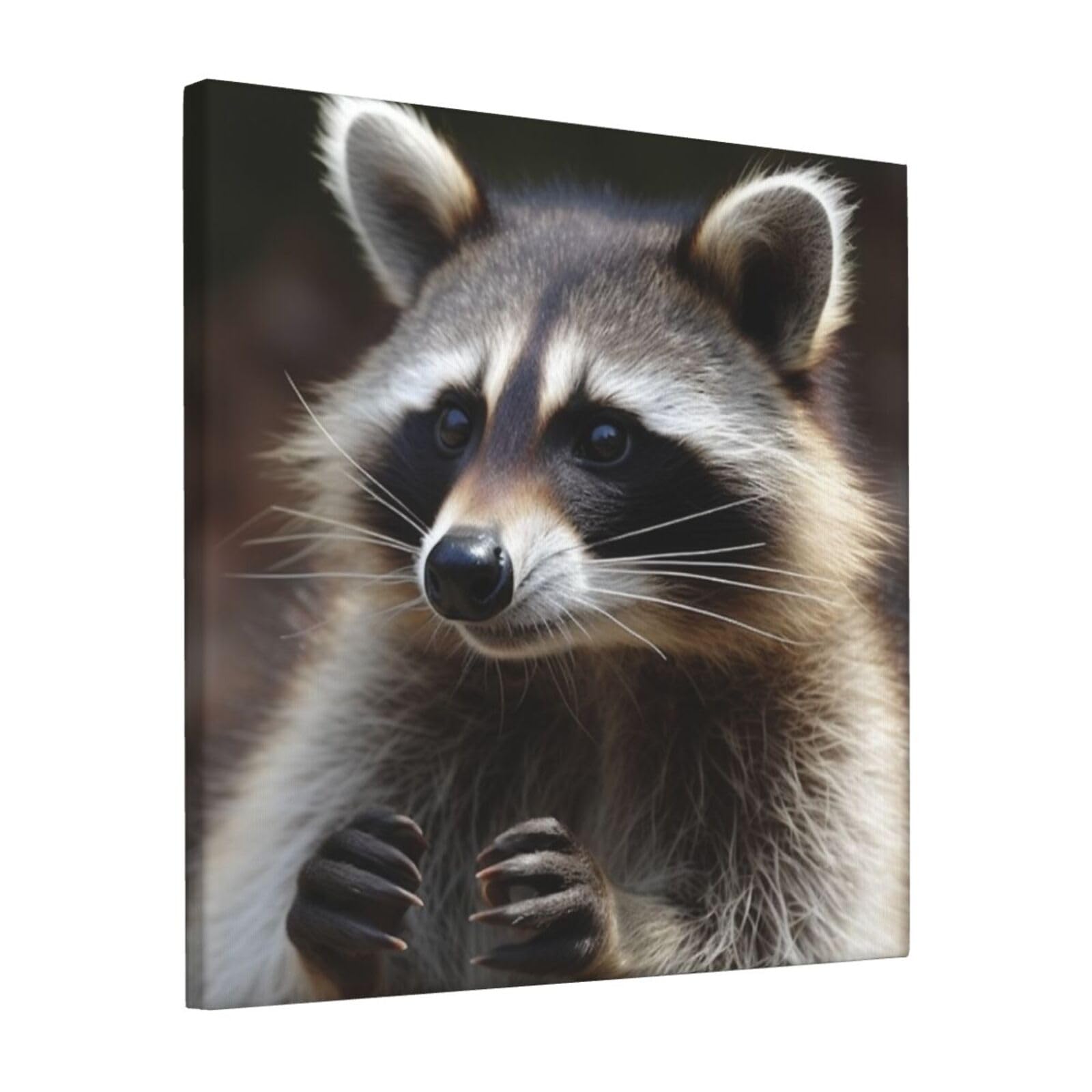 KLOPH raccoon Canvas Wall Art for Living Room 12"x12" Modern Artwork Painting for Bathroom Hanging Canvas Prints Aesthetic Wallart for Bedroom Kitchen Office Wall Decor
