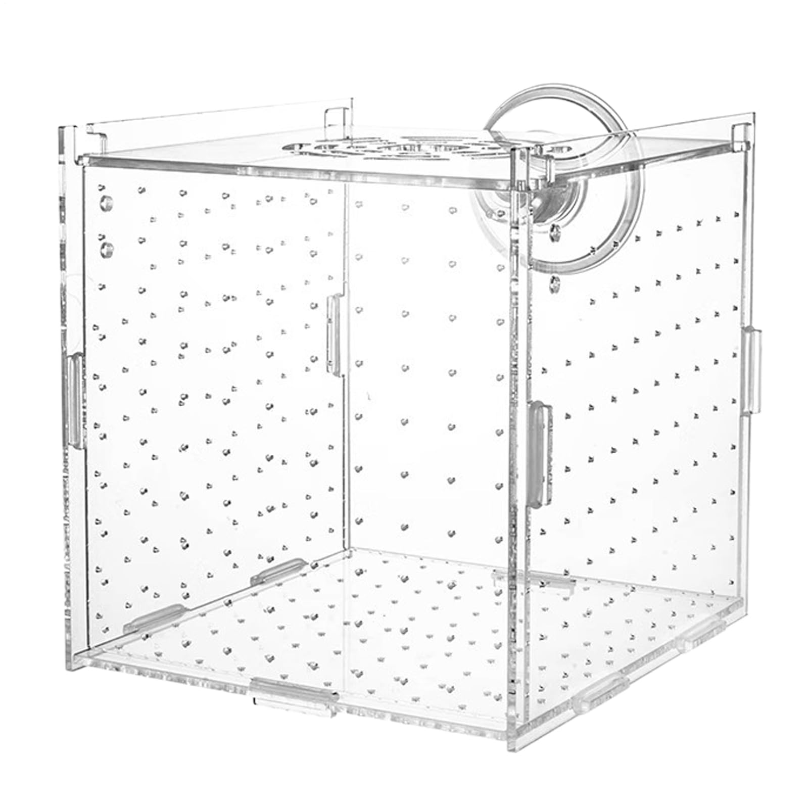 Isolation Box - Clear Acrylic Aquarium Breeder Box | Divider Breeding Holder, Hatchery Incubator for Nursery, Angelfish, Betta Fry, and Egg Care in Home or Commercial Aquariums