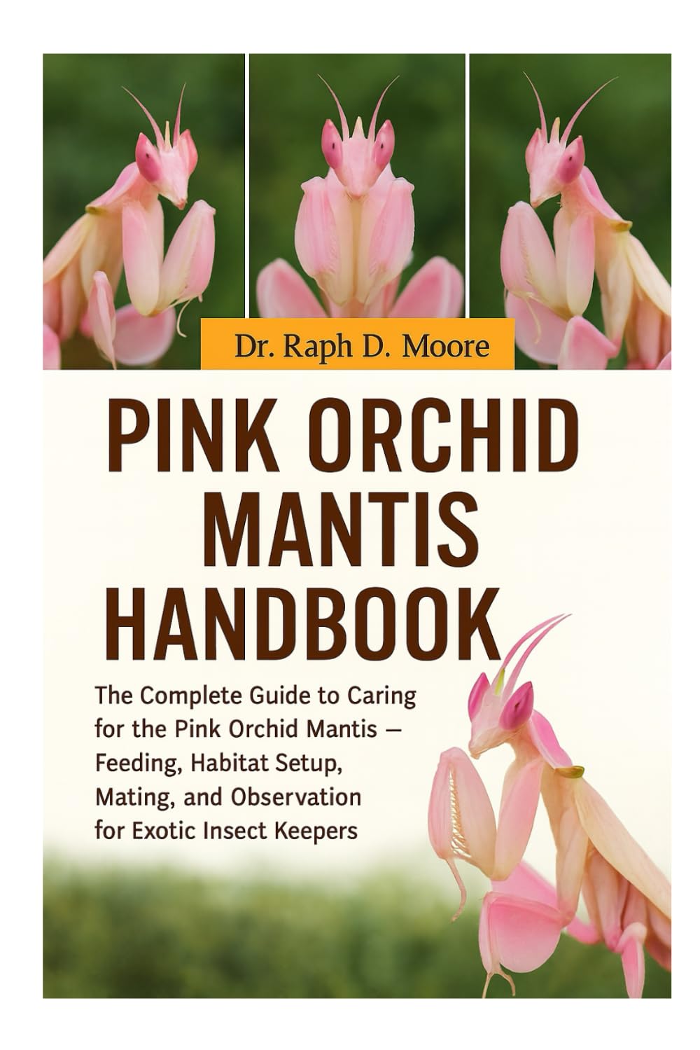 PINK ORCHID MANTIS: The Complete Guide to Caring for the Pink Orchid Mantis – Feeding, Habitat Setup, Mating, and Observation for Exotic Insect Keepers
