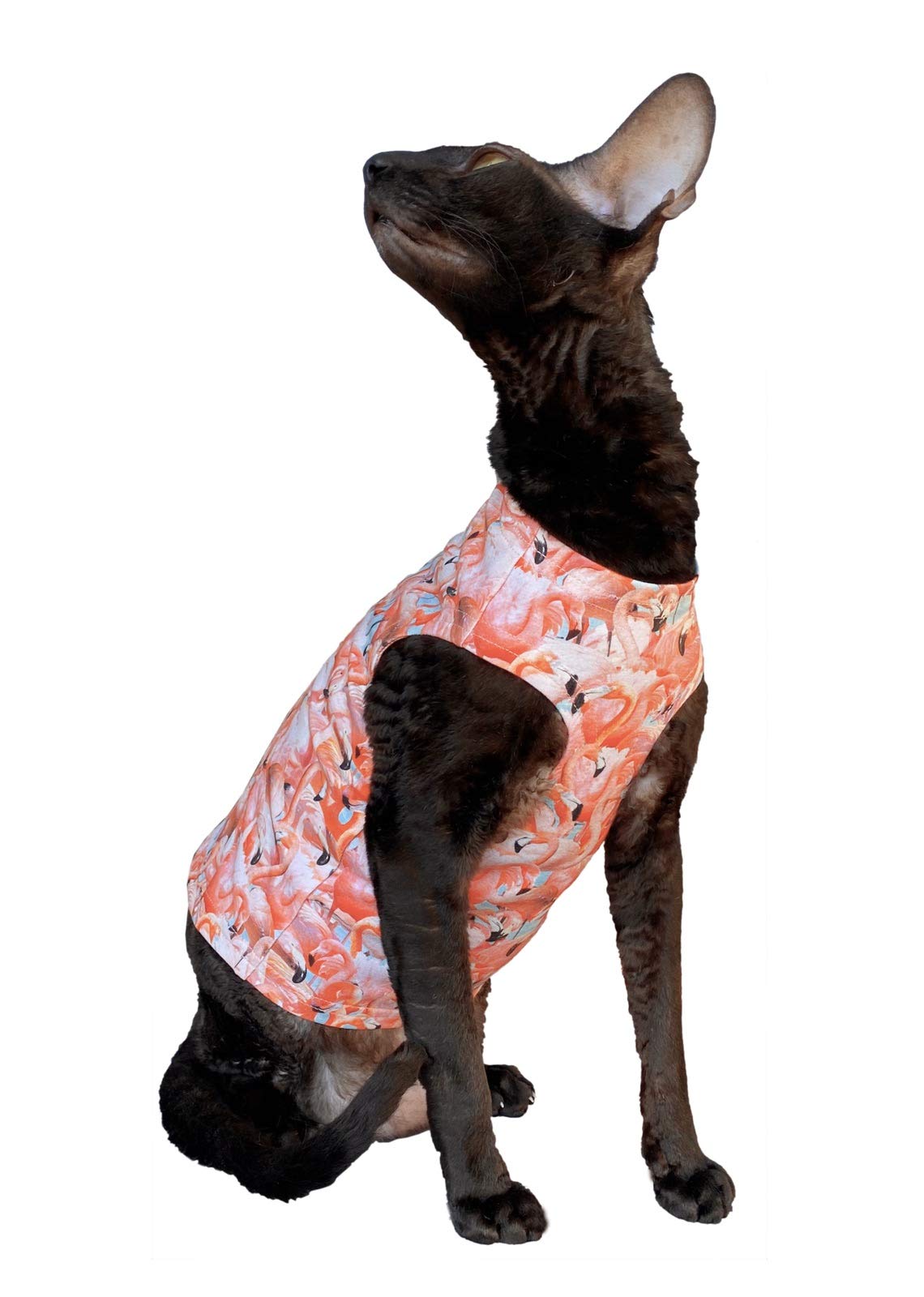 Vêtement flamants roses en coton chat Sphynx taille S pour soirées fraîches
