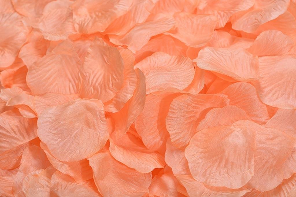 La TarteletteSilk Rose Petals Wedding Flower Decoration LTCS-00120