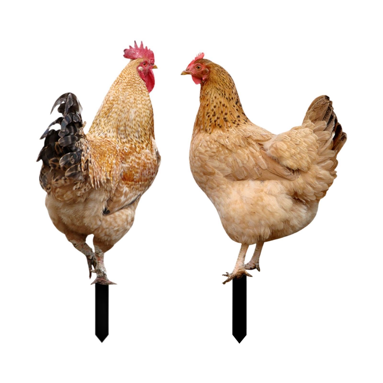 Mophrati Garden Stakes Chicken Garden Statue Vibrant Chicken Sculpture Adds Cheer To Outdoor Space Just Insert On Ground Animal Statue Stakes Sculpture, Style Ab