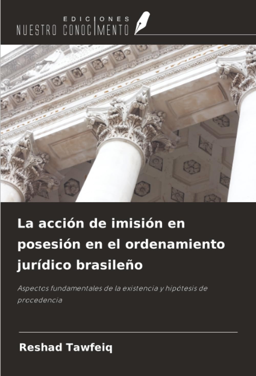 La acción de imisión en posesión en el ordenamiento jurídico brasileño: Aspectos fundamentales de la existencia y hipótesis de procedencia