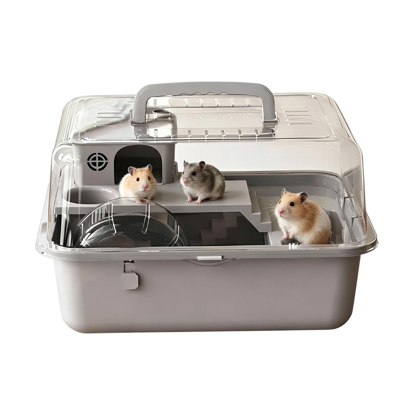 Maison pour rongeur compacte de 30,5 cm anti-ennui avec accessoires