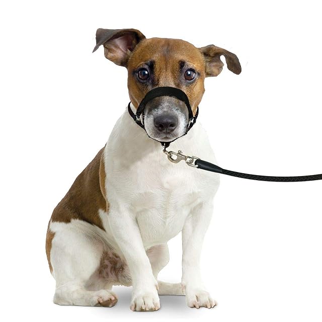 Flamingo Collar Easy Leader Negro M 42-55CM 15MM