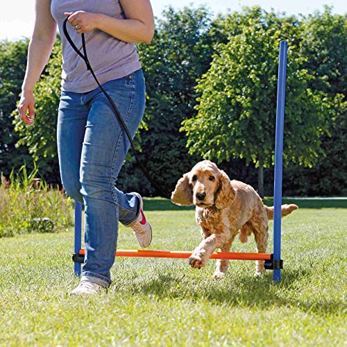 Trixie Dog Agility Hurdle, Portable Dog Agility Training, Adjustable Jumper, Exercise Tool, Blue/Orange, 48.25 X 45.25 X 1 In. #TOP3