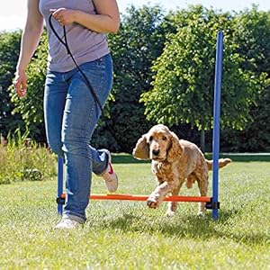 TRIXIE Dog Agility Hurdle – Dog Jump with Height Adjustable Crossbar, Dog Agility Hurdle Ideal for Beginners & Advanced, Dog Agility Equipment for Dog Obstacle Courses – 1 x Dog Hurdle