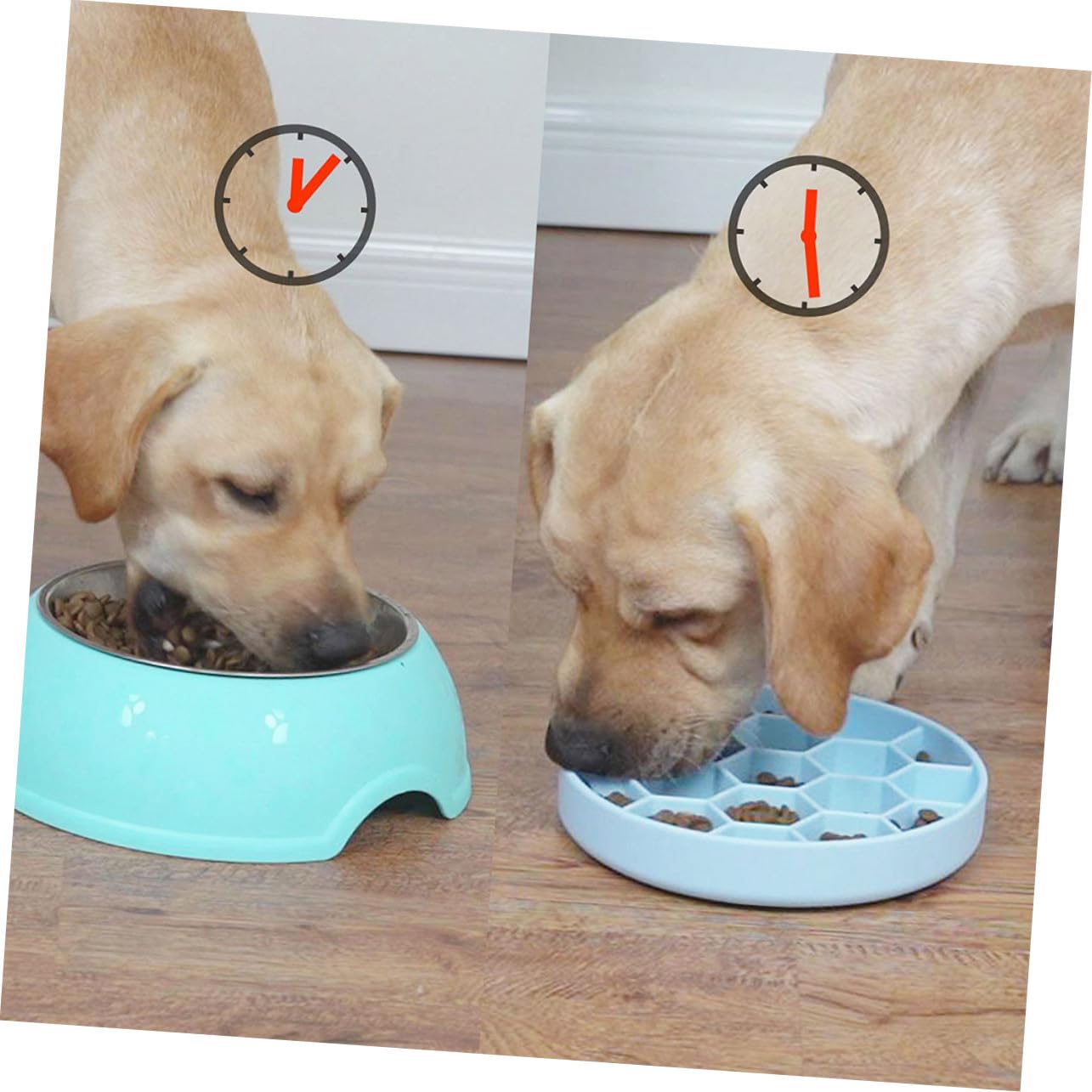 Silikon Slow Feeder Napf Mittel Blau Anti-schling Napf Mit Anti-rutsch Für Hunde Runde Ecken Langlebiger Leichter Zu Reinigender Gesunder Futternapf Gegen Verschlucken