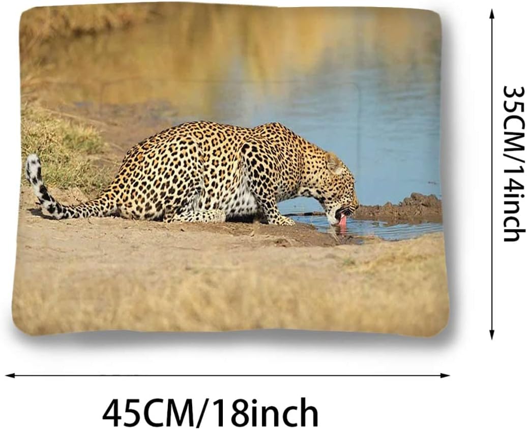 review Pale Brown Pets Cat Bed Pet Blanket Thermal Leopard Panther Drinking Soft Plush Autumn Winter Thermal Pet Bed Snooze Sleeping for Kittens Puppies Rabbits Animal Decor 14