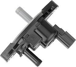 MS WS25 RDS 5Usr CAL WW LTU