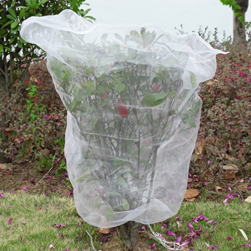 Mesh Plant Cover 3Pcs,Garden Netting Mesh Outdoor,Netting For Tomato Plants,Garden Bug Netting Plant Cover,Bird Netting For Garden,Fruit Tree Netting-3.2 X 4.9 Ft #TOP3