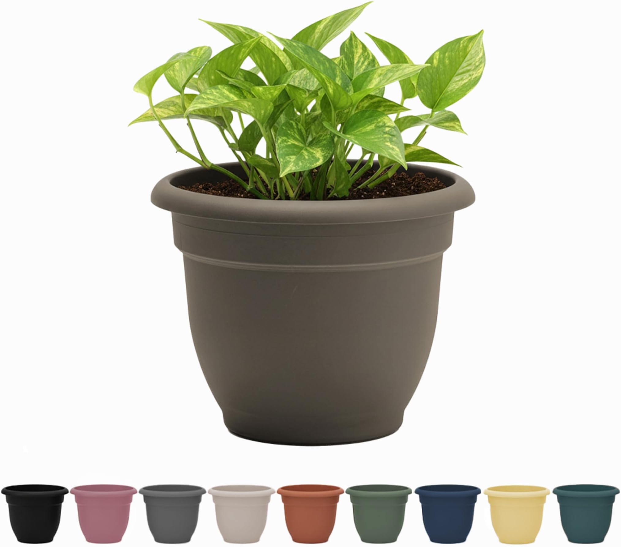 Ariana 10" Peppercorn Round Self-Watering Resin Planter Pot - Rolled Rim Indoor and Outdoor Gardening Planter
