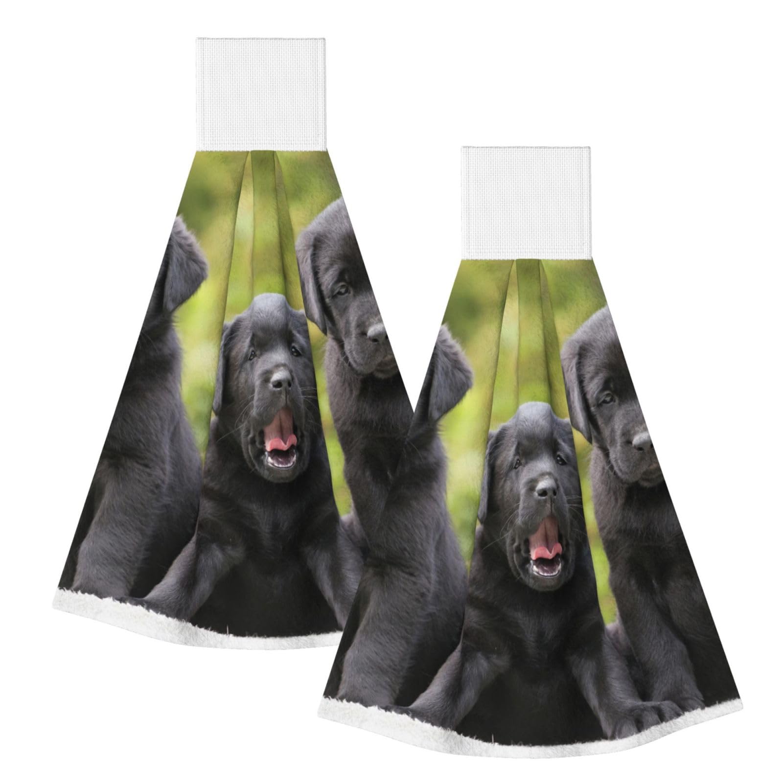 DOPKLNA Labrador Retriever Dog Print, 2 Pcs Hanging Coral Fiber Hand Towels for Bathroom, Absorbent Kitchen Towels