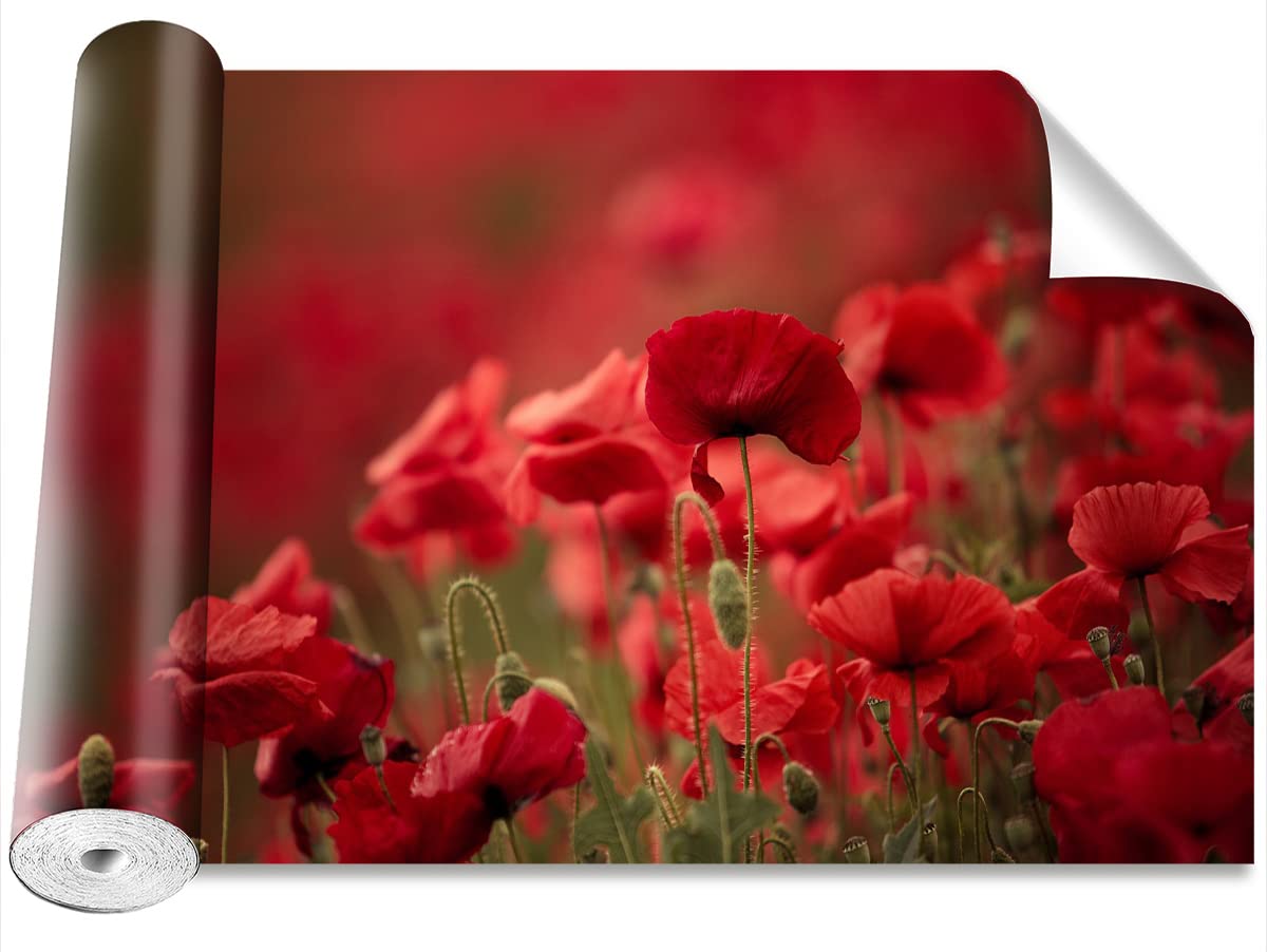 Papier peint fleurs de pavot 208x146cm pour salon moderne et chambre parentale lumineuse