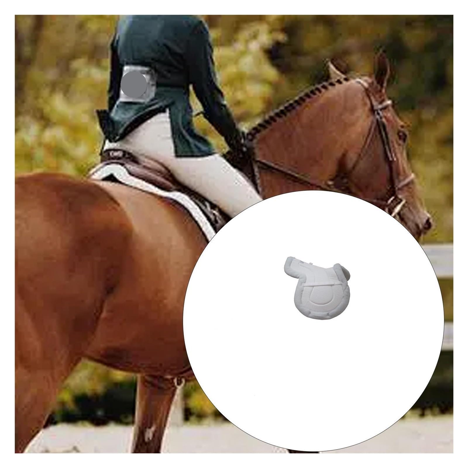 Mantilla for Montar A Caballo for A Para Caballos