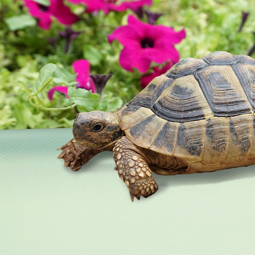 POPETPOP Crawling Blanket Reptile Carpet for Terrarium Bearded Dragon Substrate Reptile Cage Accessories Reptile Cage Mat Terrarium Carpet for Bearded Dragon Leopard Gecko Accessories