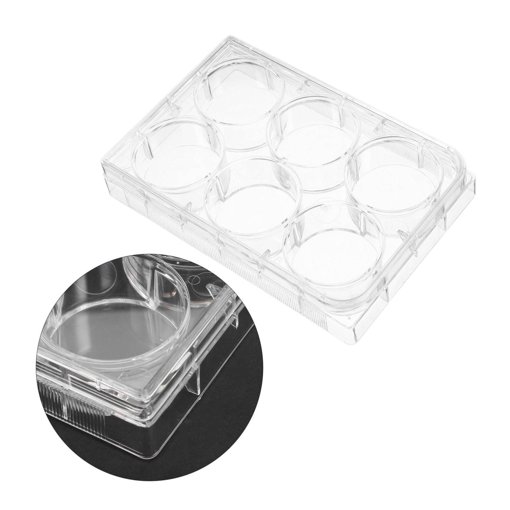 Ipetboom Laboratory Cell Culture Plate mit Deckel Einweg Gewebekulturplatte aus Robustem Material Anzuchtplatte für Präzise Zellkulturen im Laborgebrauch