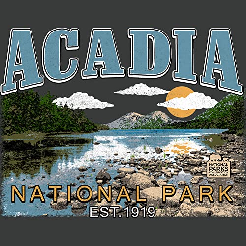 Acadia National Park T Shirt Youth Vintage Smoke Short Sleeve NPCA Nature Maine Vintage Style Graphic Tee2