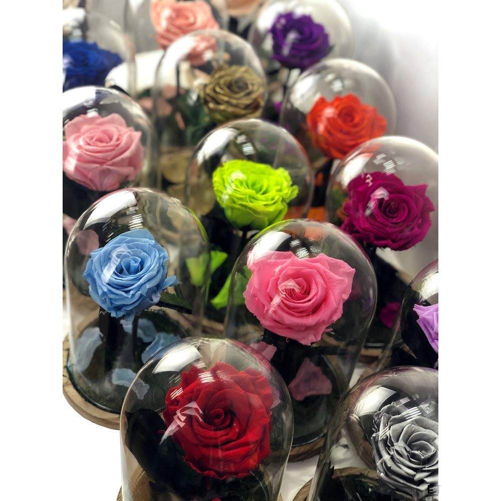 Mundo Eterno| Rosa Preservada Negra en Cúpula de Cristal | Rosa Eterna Natural | Regalo Original | 22x12 cm