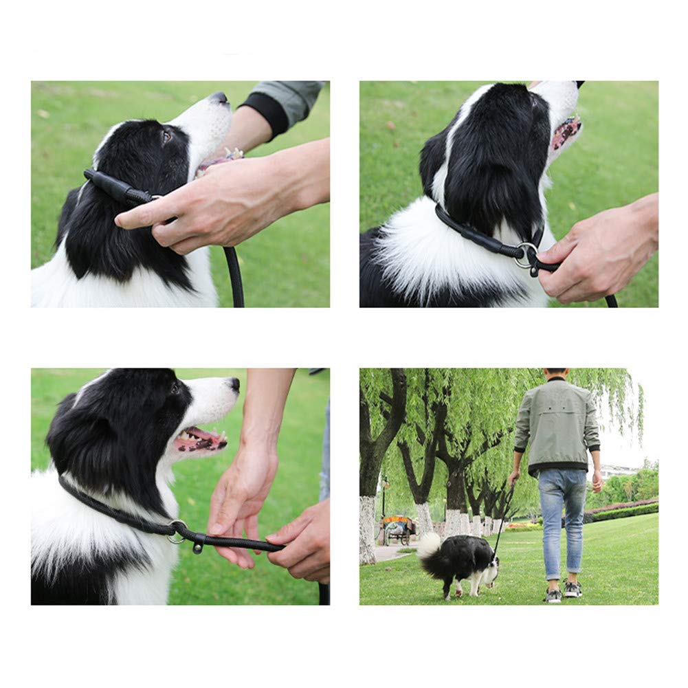 Correa de adiestramiento para perros Correa de adiestramiento Correas largas para adiestramiento de perros Correa de adiestramiento para perros Correa de adiestramiento para perros larga Correa de