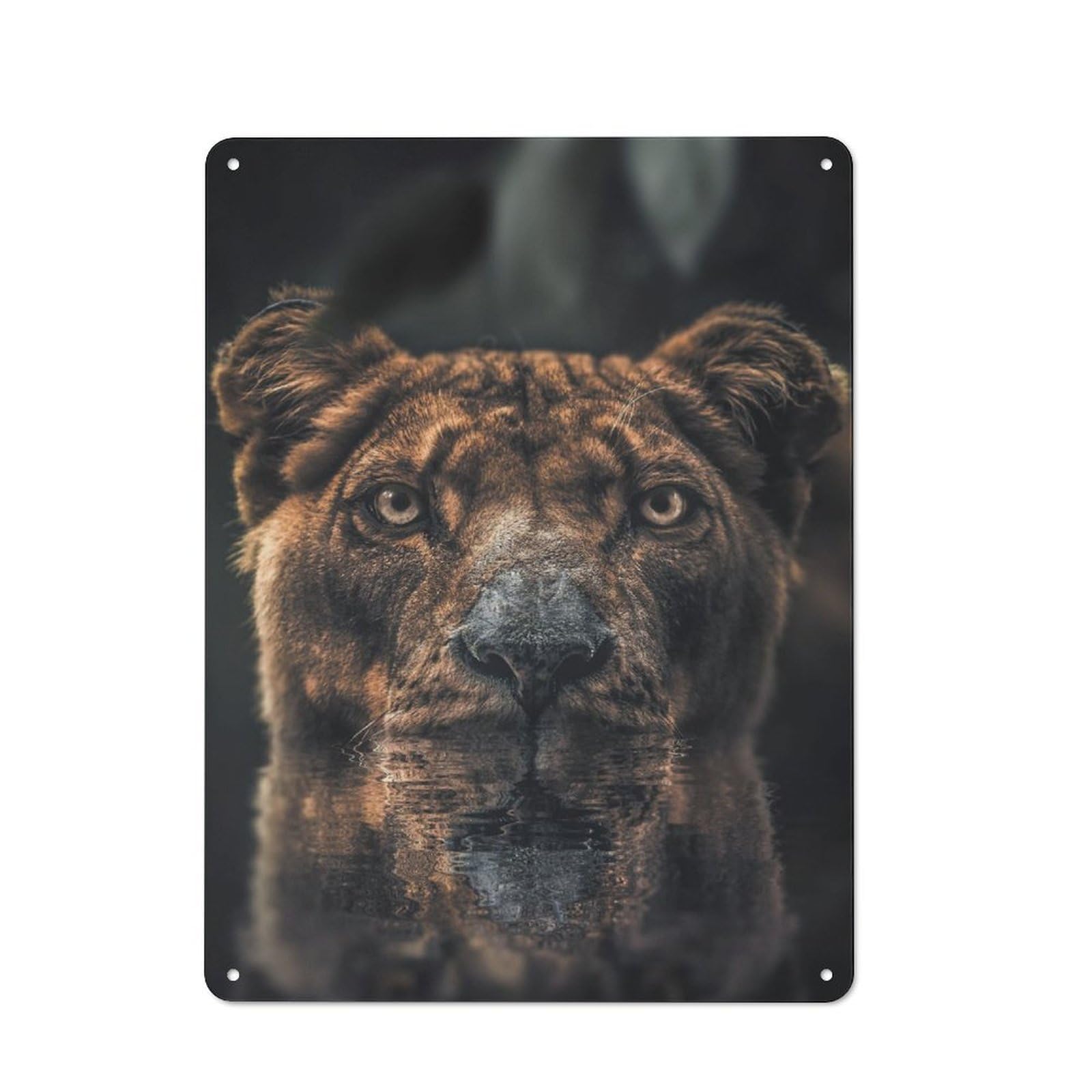 Junmoney The Swimming Lioness Metal Wall Sign 40X30cm Featuring For Home Bar Wall, For Themed Interiors In Home Bars And Entertaining Spaces