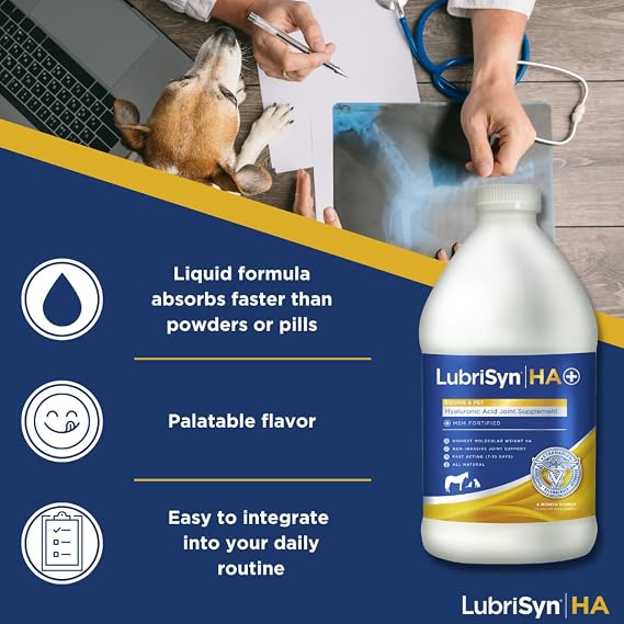 LubriSyn HA Hyaluronic Acid Hip & Joint Supplement Plus MSM for Dogs & Cats, Vet-Developed Oral Liquid HA for Pets & Horses Supports Mobility, Cartilage & Comfort, 64 oz