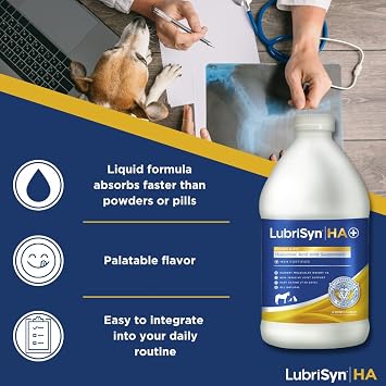 LubriSyn HA Hyaluronic Acid Hip & Joint Supplement Plus MSM for Dogs & Cats, Vet-Developed Oral Liquid HA for Pets & Horses Supports Mobility, Cartilage & Comfort, 64 oz