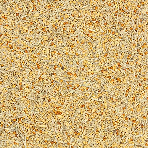 Welli-Fit, Wellensittich-Futter mit Grassamen (2,5 kg)