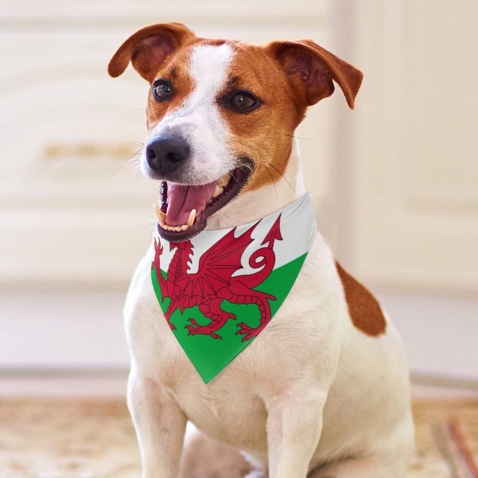 View 3