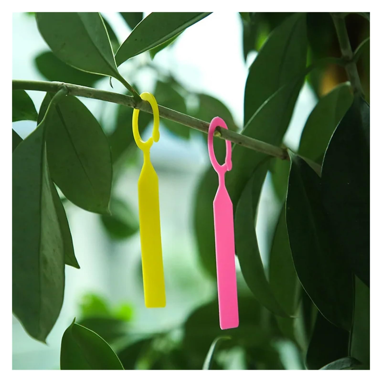 Etichette per Piante 500 pezzi di cartellini for piantagione da giardino, ganci for alberi, cartelli in plastica impermeabili, riutilizzabili, appesi, etichette(WHITE)