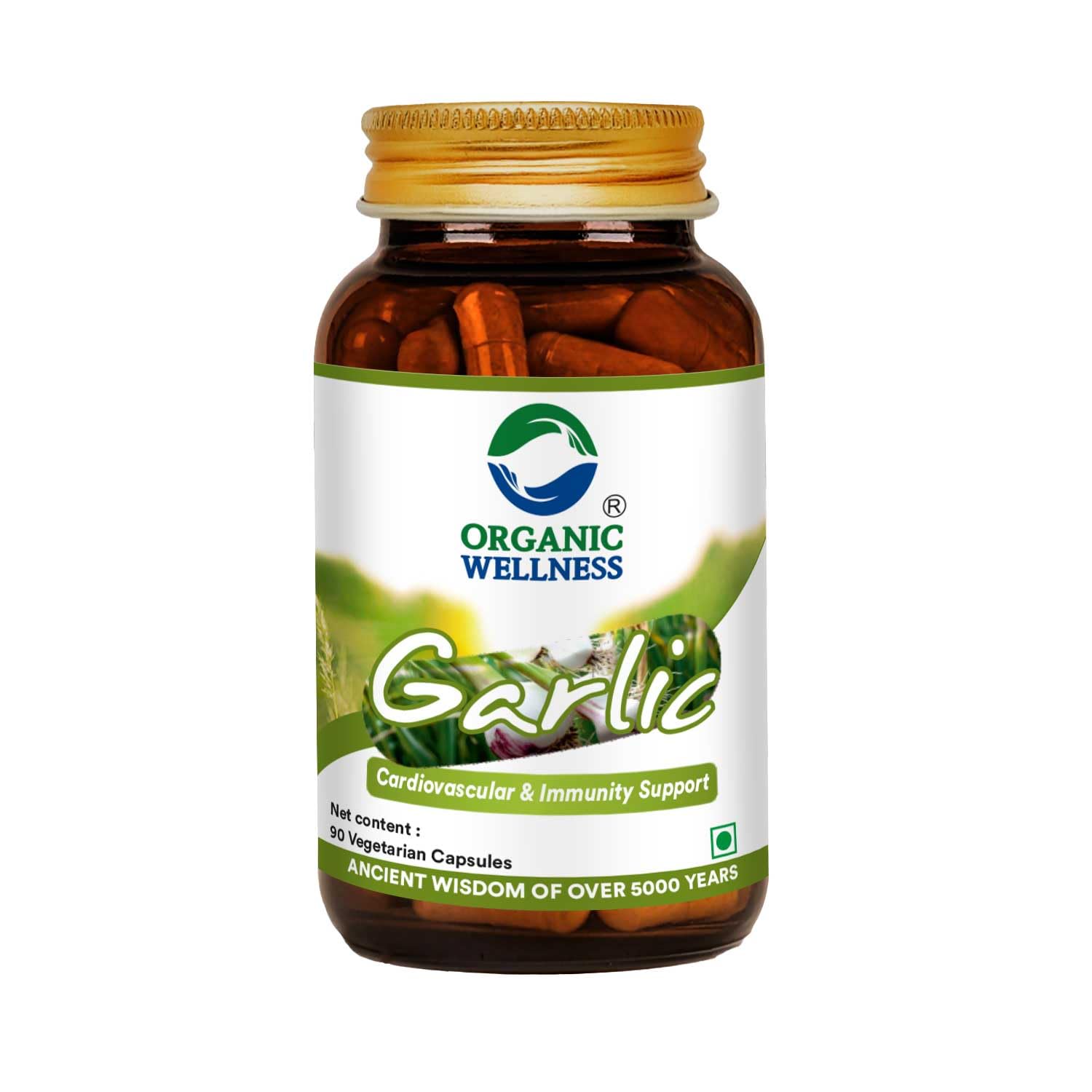 Organic Wellness Garlic 90 Vegetarian Capsule (B0BRVJM8VH) Amazon Price History, Amazon Price Tracker