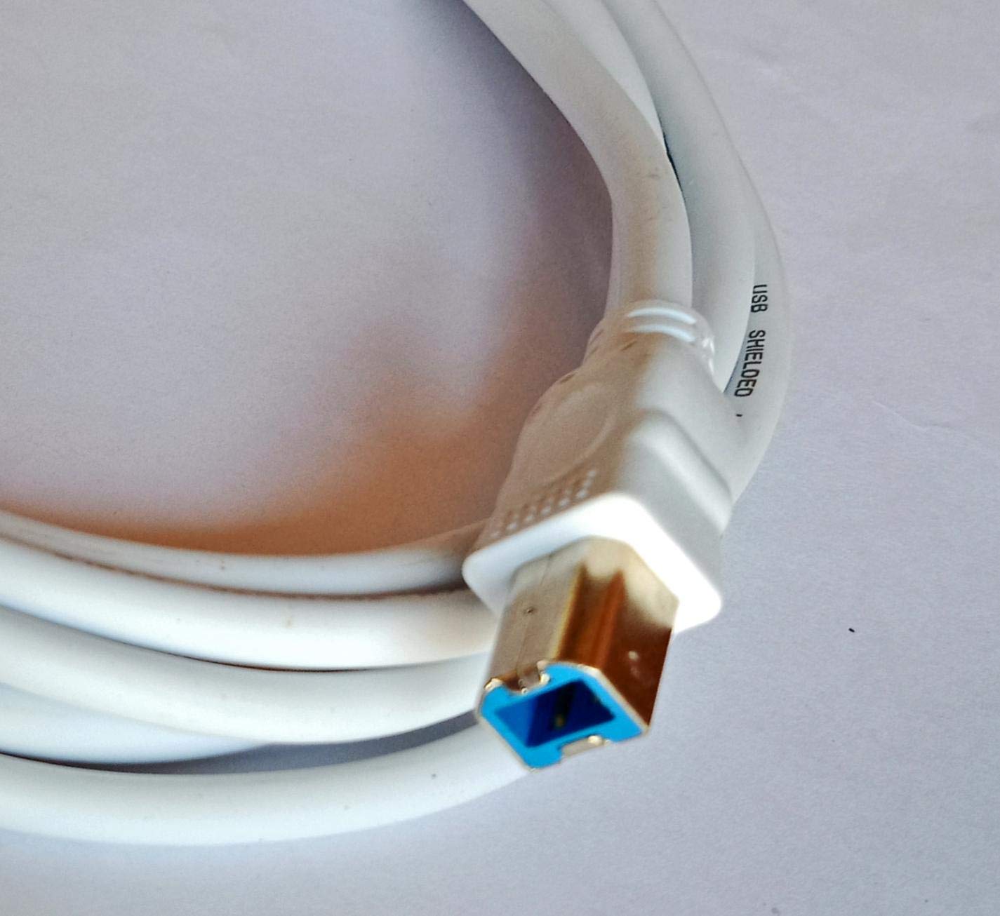 Terabyte USB 3.0 Printer Male to Male Cable for HP, Canon (3 Meter, White) (B08M43WL7Y) Amazon Price History, Amazon Price Tracker