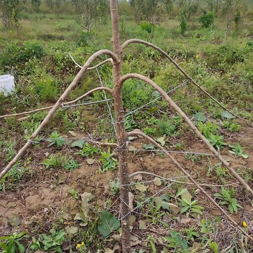 Herramienta para doblar ramas de árbol 100 pzas 15.7 in miniatura 6