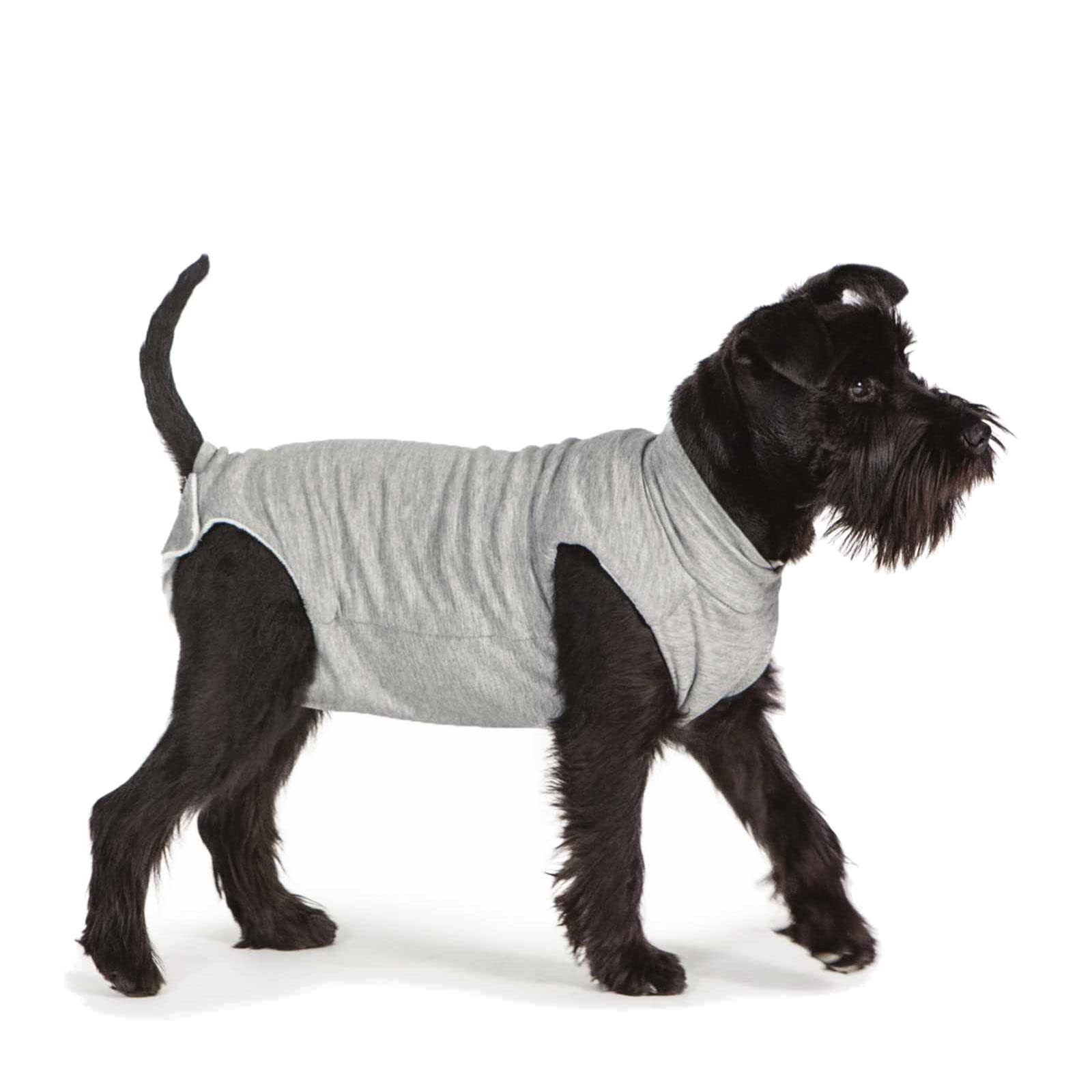 Fashion Dog Cura Pets - Body quirúrgico y de salud para perros y gatos, 60 cm